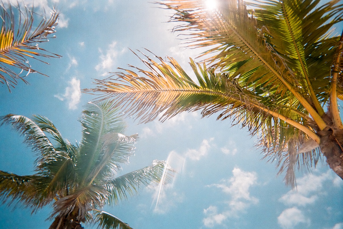 Running in Malaysia's Heat and Humidity: How to Keep Your Feet Cool and Dry